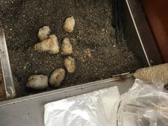 -叶氏麻糍(鼓浪屿店)