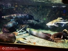 -太平洋海底世界