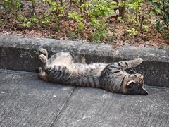 -深圳市人才园(深南大道店)