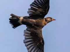 -周沫西餐厅(北京路广百百货店)