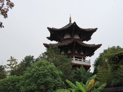 -武汉园博园(武汉自然博物馆)