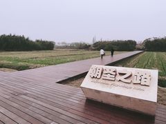-良渚古城遗址公园