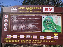 -合肥野生动物园
