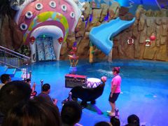 -烟台海昌鲸鲨海洋公园