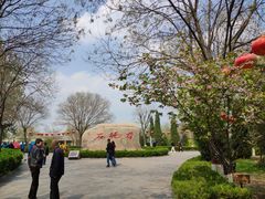 -大槐树寻根祭祖园