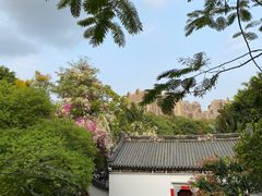 -深圳国际园林花卉博览园