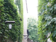 -乌镇东栅景区