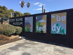 -济州岛泰迪熊博物馆