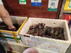 -瑞丽活螃蟹(芒市店)