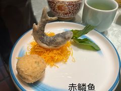 -鲁菜根·泰山菜(泰山店)
