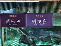 -鱼你相聚·河鲜馆(袁家岭店)