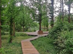 -国家植物园南园