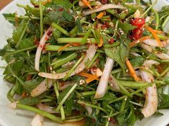 拌水芹菜-善女酱汤馆