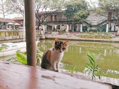 -喜洲吧·江畔老船厂·庭院餐厅(喜临院店)