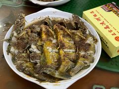 -正宗高流河饭店原创风姜鸡