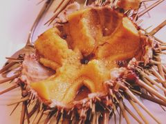 -海胆小馆(东北水饺·春柳店)