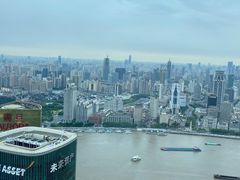 -金轩中餐厅 Jin Xuan(浦东丽思卡尔顿酒店)