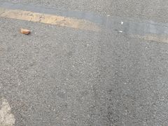 -索拉古贝(义乌北苑店)