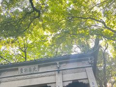 -灵岩山风景区
