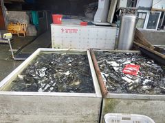 -白沙洲农产品大市场海鲜交易区