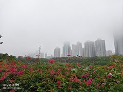 -万绿园