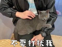 -猫咪派对(江南西店)