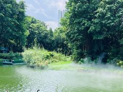 -广州长隆飞鸟乐园