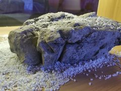 -滇铺子(欣都龙城店)