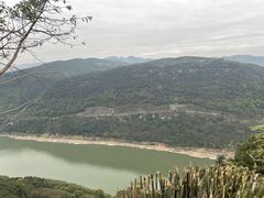 -铁山坪森林公园