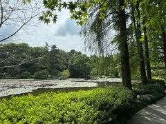 -杭州植物园