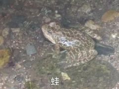 -沣峪口