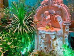 -more than meow吴止猫主题餐厅(承德 中船汇店)