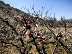 -崂山九水游览区