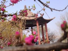 -天津东丽湖风景区