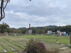 -红山村