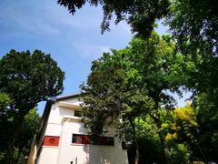 -上海市保健医疗中心