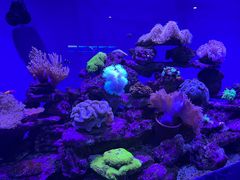-长春中泰海洋世界