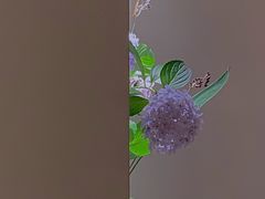 -见山茶事(丽水路店)