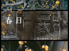 -颐和园