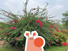 -中国科学院西双版纳热带植物园