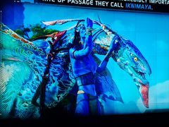 -奥兰多迪士尼动物王国乐园