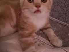 -盱眙虾怪·旗舰店