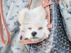 -久事体育场馆旗忠网球中心