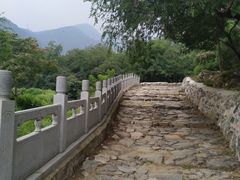 -阳台山自然风景区