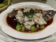 鲜椒鲈鱼-大铁勺新津菜(迎水道店)