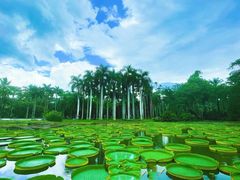 -中国科学院西双版纳热带植物园