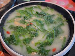-羽鸽集·乳鸽专门店·地道顺德菜(岭南站店)