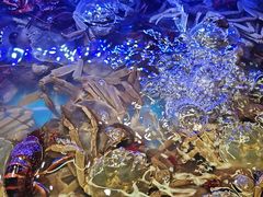 -四囍码头海鲜烧烤自助火锅(外滩南京东路悦荟广场店)