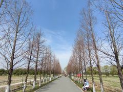 -嘉北郊野公园