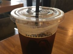 -油梨树 AVOCADO TREE(亮马桥店)